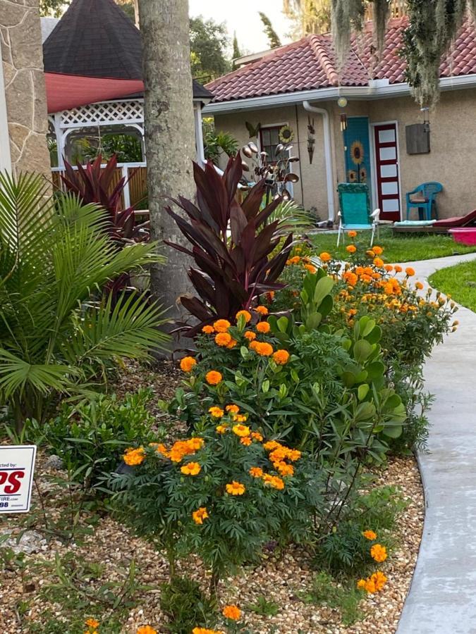 Ms. Maggie'S South Country Inn Daytona Beach Exterior foto